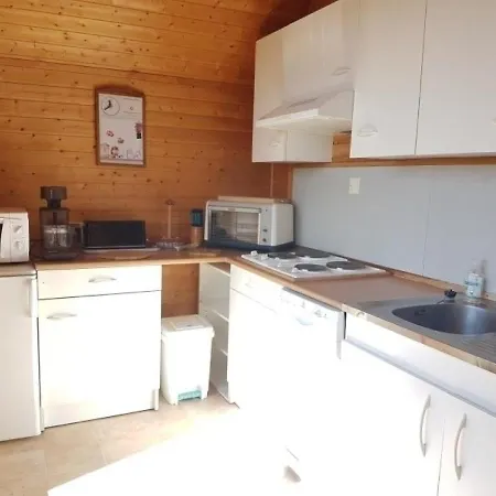 Chalet Besse-et-saint-anastaise, 4 Pieces, 8 Personnes - Fr-1-395-5 Alpehytte